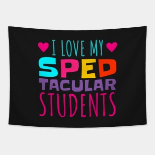 I Love My Spedtacular Students, Special Education Teacher Tapestry