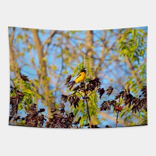 A Baltimore Oriole Perched On A Tree Tapestry