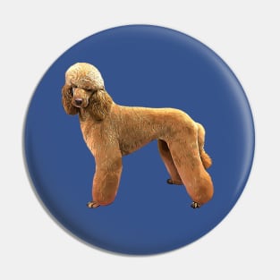 Poodle Apricot Beauty Pin