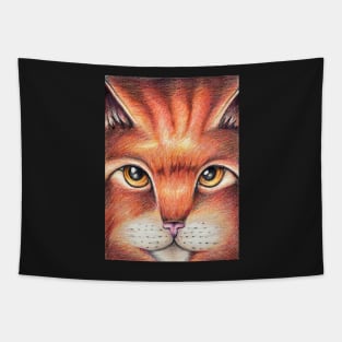 Orange and Brown Cat Tapestry