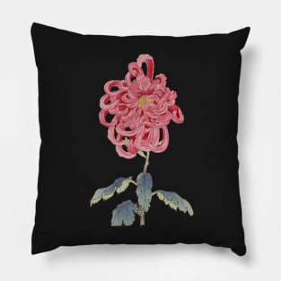 Pink Chrysanthemum - Hasegawa - Traditional Japanese style - Botanical Illustration Pillow