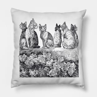 Strays Cats Pillow