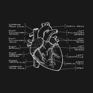 Anatomical Heart Diagram (White Text) T-Shirt