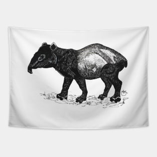 Nosey Tapir sniffing around Tapestry