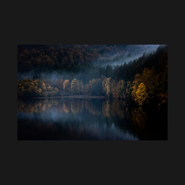 'Dark Autumn Gold', Loch Faskally, Pitlochry by mucklepawprint