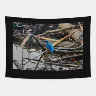 Kingfisher Tapestry