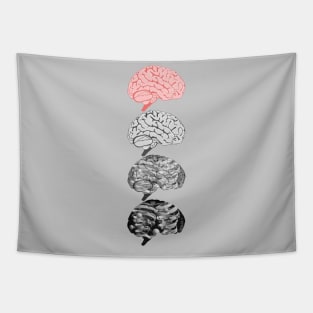 Dark Matter = Grey Matter Tapestry