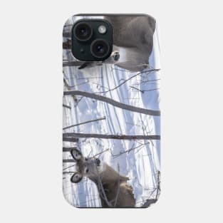 White Tailed Deer Phone Case