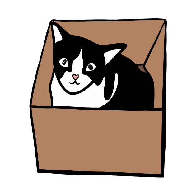 Cat in box by Ikoki