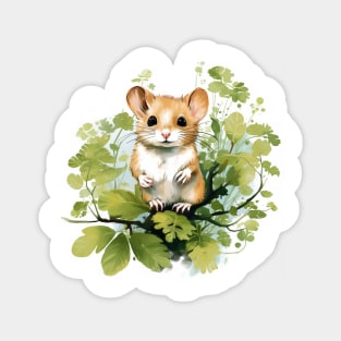 Dormouse Magnet