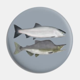 Pink Salmon - Ocean and Spawn Phases Pin