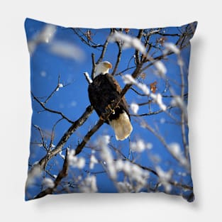 Eagle in snowy tree Pillow