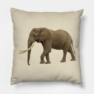 Elephant - Elephants in Africa - Wildlife Pillow