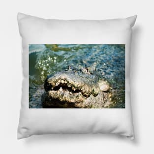 Gator Jaws Pillow