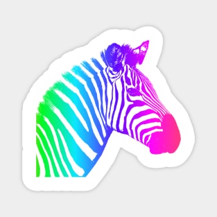 color wheel zebra Magnet