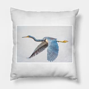 Tri colored heron Pillow