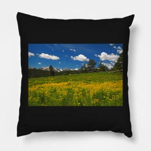 Rocky Mountains NP Pillow