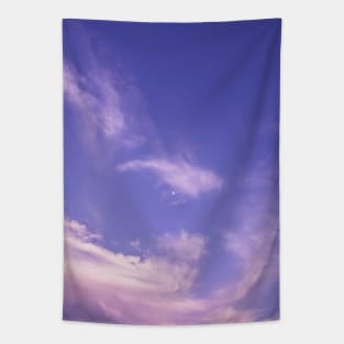 Tranquil evening clouds Tapestry