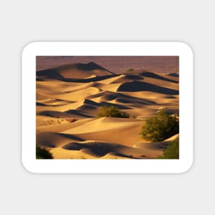 Sand Dunes Magnet