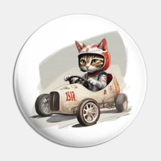 cat in a racing a soap box go kart Pin