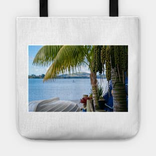 Tropical garden frames view over white clinker dinghy to bay with stand-up paddle-boarder in distance. Tote