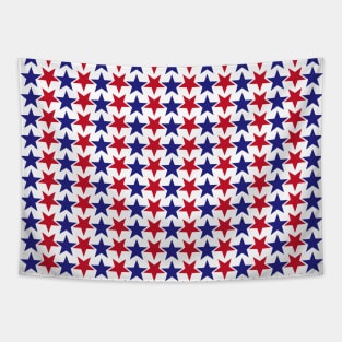 Star PTRN US Tapestry