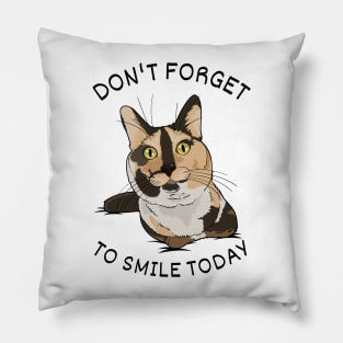 Don't forget to smile today Pillow