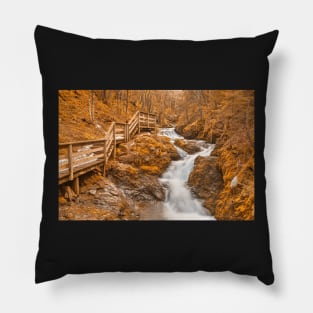 Gold Centipede Falls Pillow