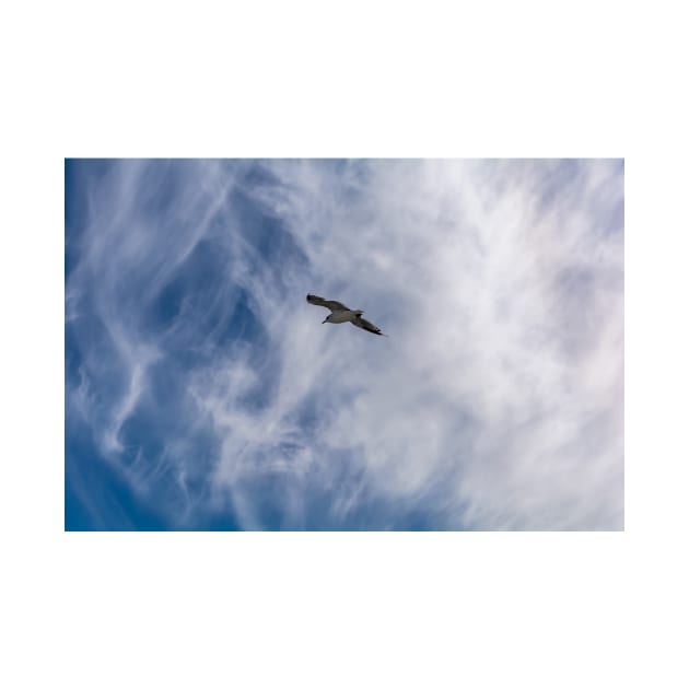 White seagull flying in bright blue sky by lena-maximova