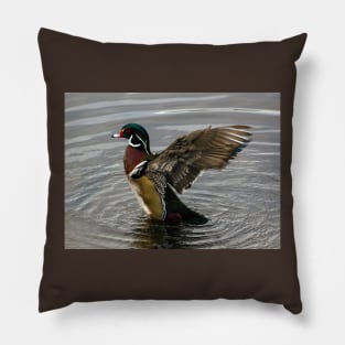 Wood Duck Drake Showing Off Pillow