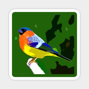 Rainbow Finch Bird Magnet