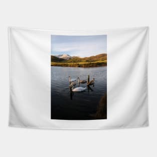 River Brathay Tapestry