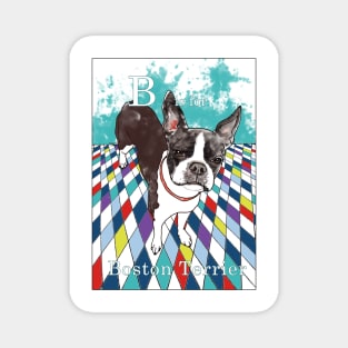 B is for Boston Terrier IV Magnet