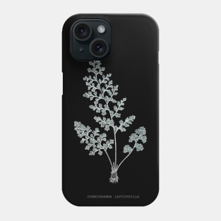 Fern - Gymnogramma Leptophylla - X-ray effect - 04 Phone Case