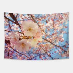 Cherry tree Tapestry