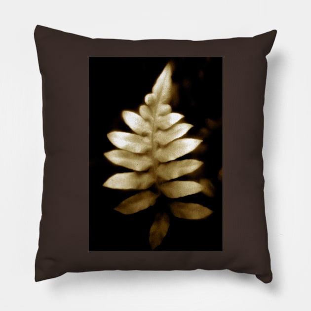 soft focus fern Pillow by lastgasp