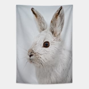 Snow Shoe Hare Tapestry