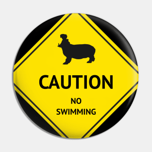 Caution No Swimming Pin