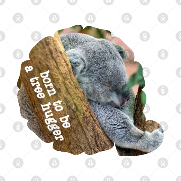 Tree Hugger Koala by radiogalaxy