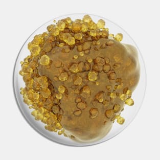 Amber cristal Pin