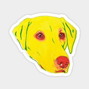 Yellow Labrador Magnet