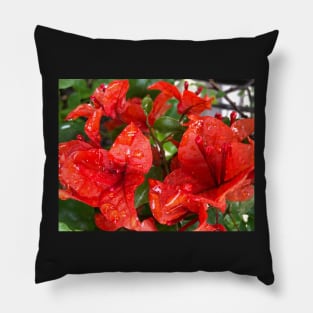 Natural Red Christmas Rain Cups Pillow