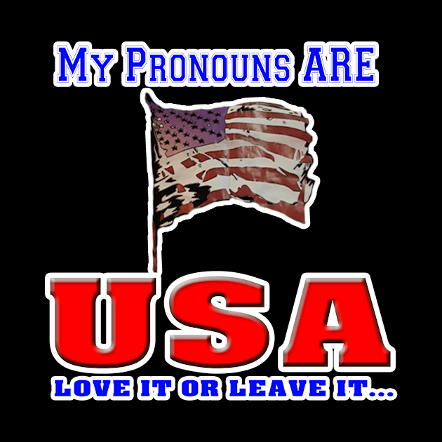 My Pronounce are USA! by Political Gaffes