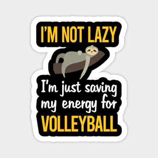 Saving Energy For Volleyball Magnet