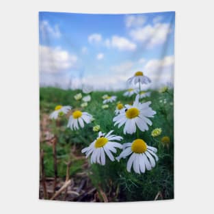 Camomile Field Tapestry