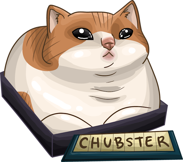 Sad Chubster Cat Kids T-Shirt by KaePotassium