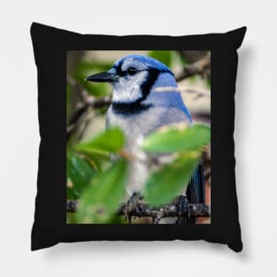 717 bluebird Pillow