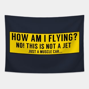 How Am I Flying? Tapestry