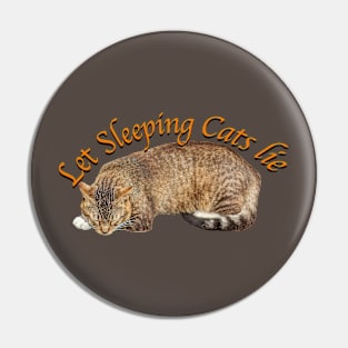 Let sleeping cats lie! Pin