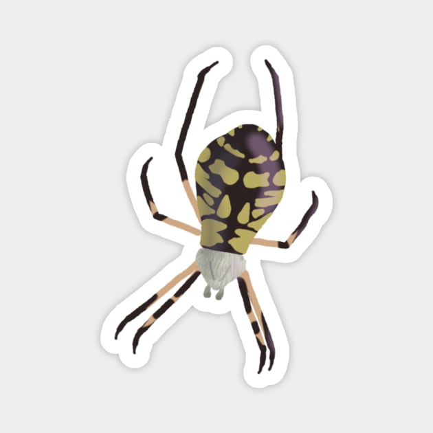 Yellow Garden Spider Magnet by LochNestFarm